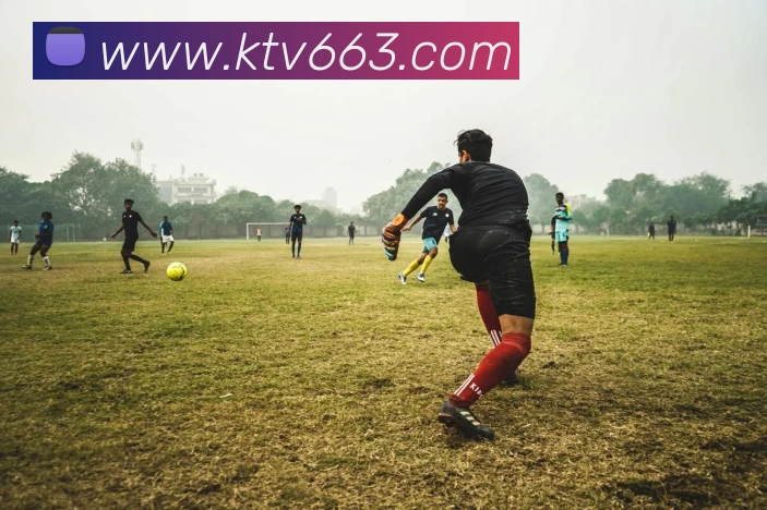 v66品牌故事